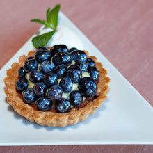 Load image into Gallery viewer, White Porcelain Triangle Plates IEP