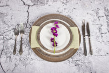 Load image into Gallery viewer, Porcelain- White with Thick Platinum Rim Placesetting IEP