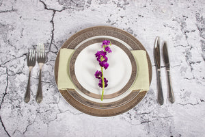 Porcelain- White with Thick Platinum Rim Placesetting IEP