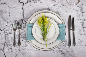 Porcelain Dinner Plate IEP